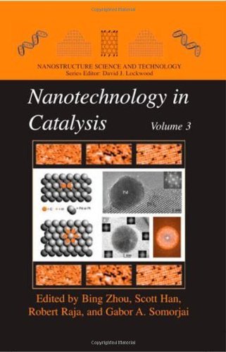 Nanotechnology in Catalysis 3 (Nanostructure Science and Technology)