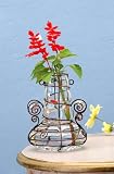 SohoDecor Zimbal Glass Sun Catcher Flower Vase - Solo Clear