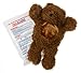 Gelly Belly Bear Hot/Cold Therapy Pack, Grizzly Bear