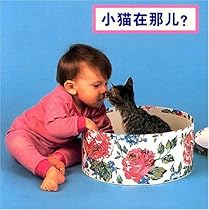 Where's The Kitten? (Simplified Chinese edition)