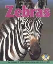 Zebras