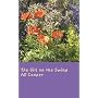 The Girl on the Swing by Ali Cooper