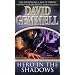 Hero in the Shadows (Waylander)