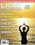Light of Consciousness : Journal of Spiritual Awakening