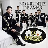 No Me Dejes De Amar