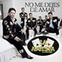 No Me Dejes De Amar