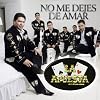 No Me Dejes De Amar