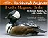 Hooded Merganser Drake (Wildfowl Carving Magazine Workbench Projects)