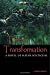 Time & Transformation: A Novel of Mayan Mysticism