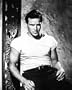 MARLON BRANDO 24x36 COLOR POSTER PRINT