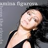 Image of album by Amina Figarova
