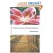 A Plain Account of Christian Perfection (Epworth Classics)