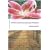 A Plain Account of Christian Perfection (Epworth Classics)