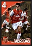 Arsenal- Cesc Fabregas Framed Framed Art Poster Print, 26x38