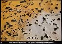 The Earth from Above 2010 Wall Calendar