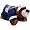 San Diego Chargers