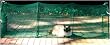Kittywalk Outdoor Net Cat Enclosure for Decks, Patios, Balconies