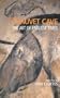 Chauvet Cave: The Art of Earliest Times