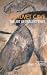 Chauvet Cave: The Art of Earliest Times