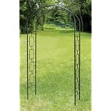 Arbor: Wrought Iron Modern