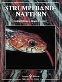 Produkt-Bild: Strumpfbandnattern