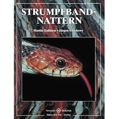 Strumpfbandnattern
