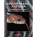 Strumpfbandnattern