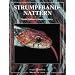 Strumpfbandnattern