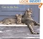 Cats in the Sun 2007 Wall Calendar