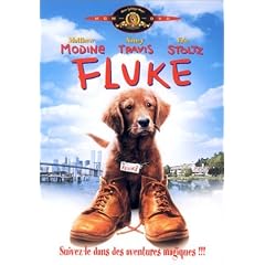 Fluke