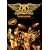 Aerosmith: You Gotta Move