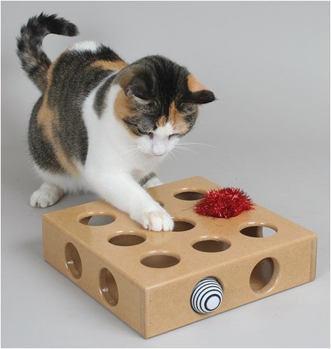 SmartCat Peek and Play Cat Toy Box
