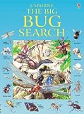 The Big Bug Search (Great Searches)