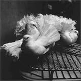 Peter Hujar: Animals and Nudes