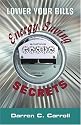 Lower Your Bills: Energy Saving Secrets (Volume 1)