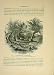 SHEPHERDS FIELD BETHLEHEM 1883 PALESTINE SINAI EGYPT