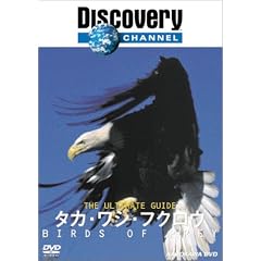 �f�B�X�J�o���[�`�����l�� The Ultimate Guide �^�J�E���V�E�t�N���E [DVD]