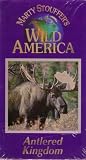 Marty Stouffer`s Wild America: Antlered Kingdom