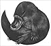 Platypus: The Extraordinary Story of How a Curious Creature Baffled the World