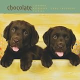 Labrador Retriever Puppies, Chocolate 2009 Square Wall Calendar