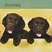 Labrador Retriever Puppies, Chocolate 2009 Square Wall Calendar