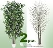 TWO 7' Artificial Trees - Very Full Ficus + White Cherry Blossom with Real Wood Trunks
