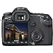 Canon EOS 40D DSLR with 17-85mm lens