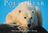 Polar Bear: A Book of Postcards (Book of Postcards)