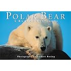 Click here to buy Polar Bear: A book of postcards (Firefly Postcard Book) by  Norbert Rosing.