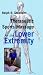 Therapeutic Sports Massage for the Lower Extremity DVD