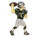 Michigan State Spartans NCAA Light-Up Animated Player Lawn Decoration (44)