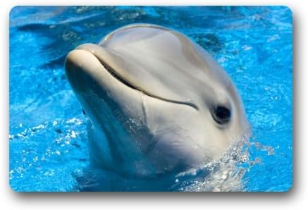 Cool Door Mat Washable Doormat Dolphins 23.6"(L)x15.7"(W) 3/16"