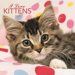 I Love Kittens 2009 Calendar
