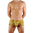 Mens New Jaguar Print Hot Body Boxer Swimsuit Gary Majdell Sport